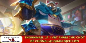 Thornmail là 1 vật phẩm chủ chốt để chống lại quân địch lớn